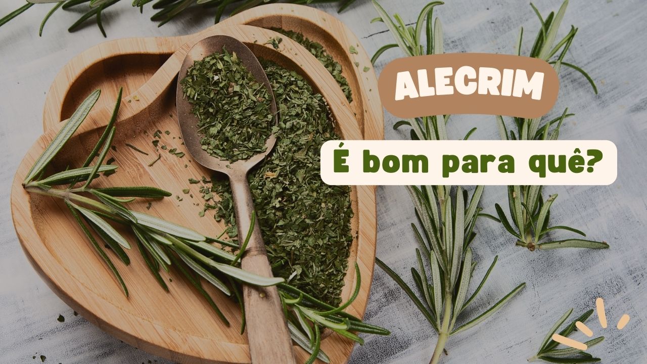 Alecrim é Bom Para Quê?