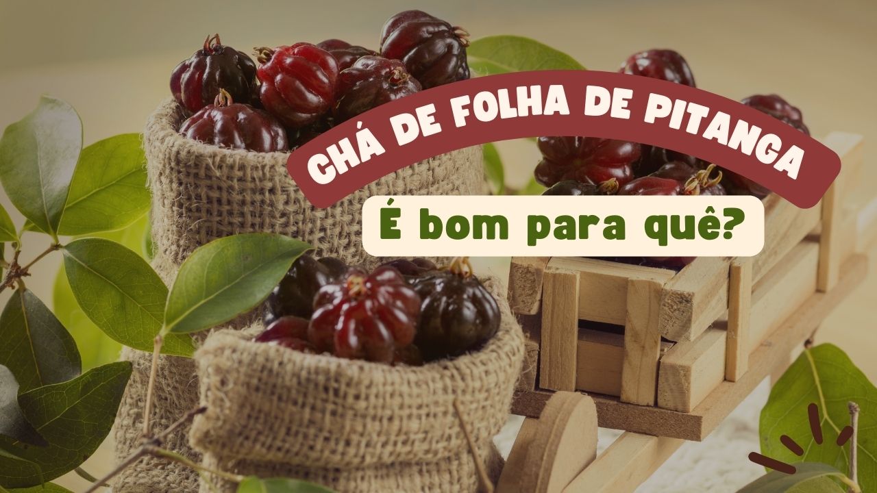 Chá da Folha de Pitanga é bom para quê?