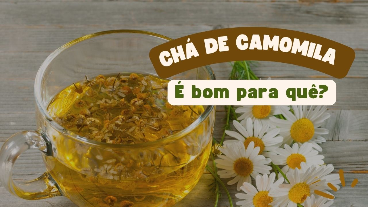 Chá de Camomila é Bom Para Quê?