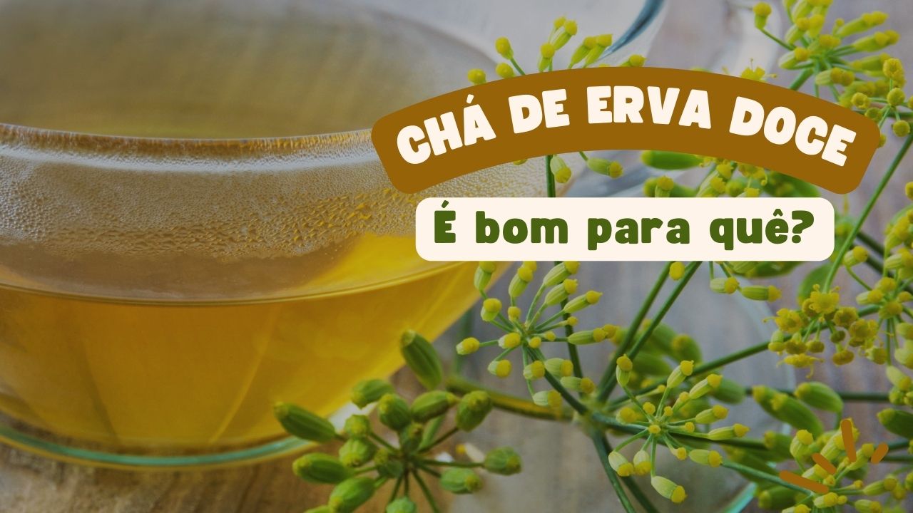 Chá de Erva-Doce é Bom Para Quê?