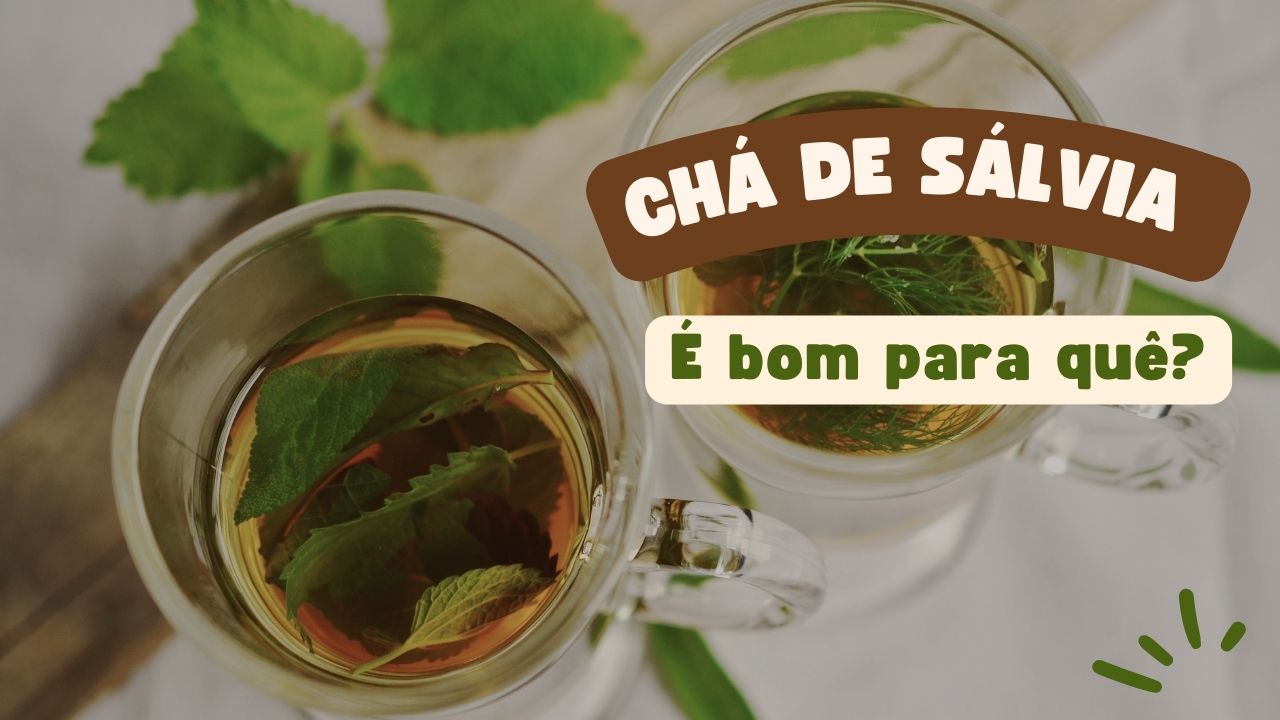 Chá de Sálvia é bom para quê?