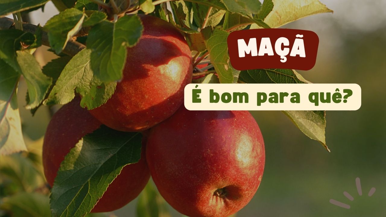 Maçã é bom para quê?